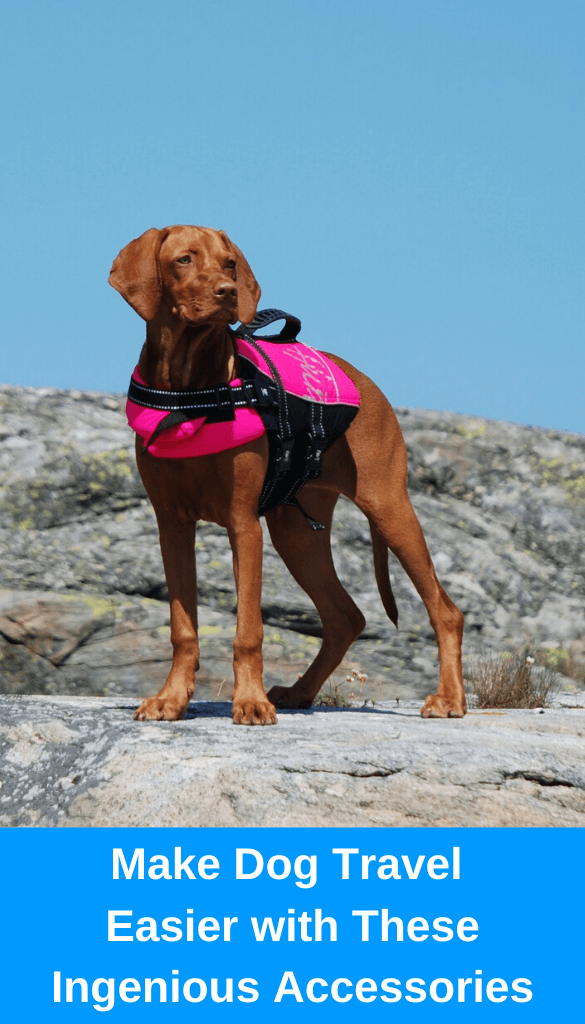 Dog Travel Jacket