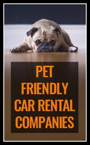 Looking to hire a car with a company that allows pets? There aren't *many* companies - but there are a few. Here's a list of all the rules surrounding car hire firms that allow pets. 