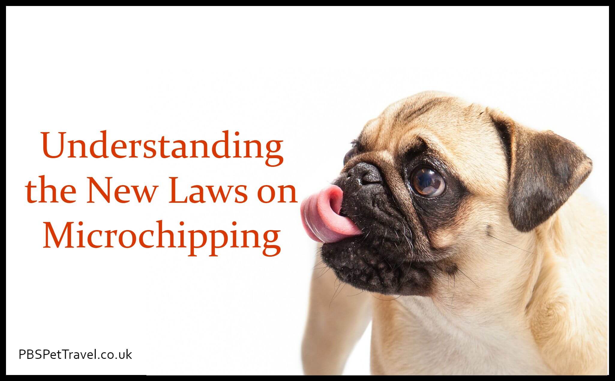 New Law on Microchipping From 2016 PBS Pet Travel