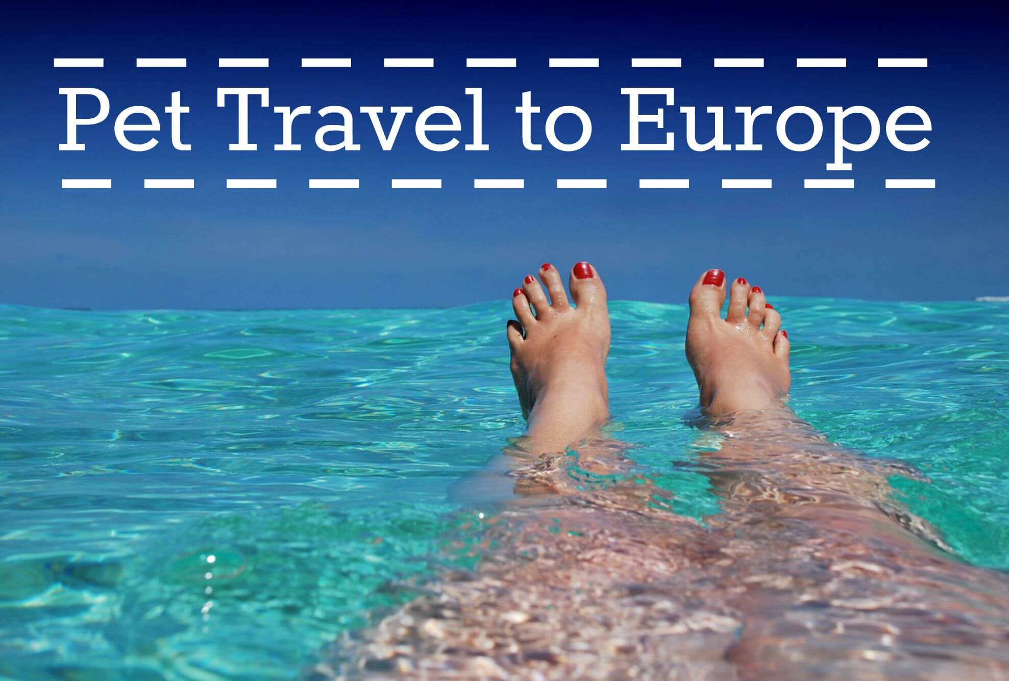 pet travel usa to europe