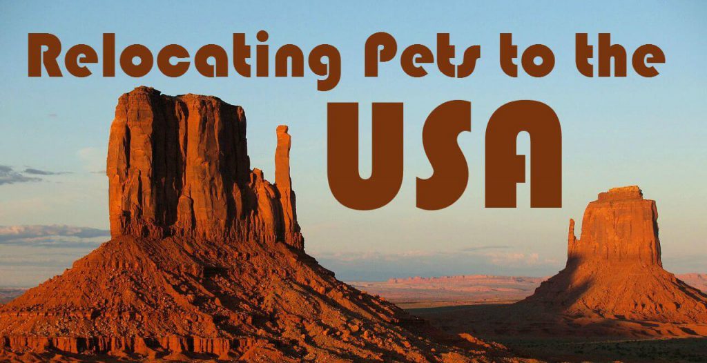 Taking pets to the USA