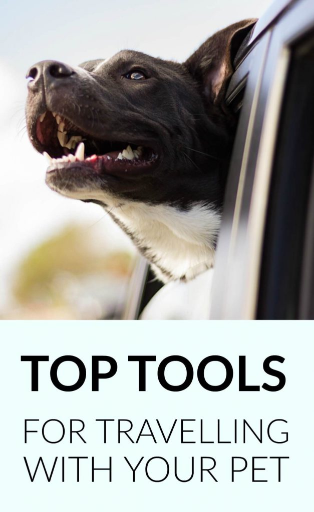 Make travelling with your dog much more enjoyable with these amazing new products and services.