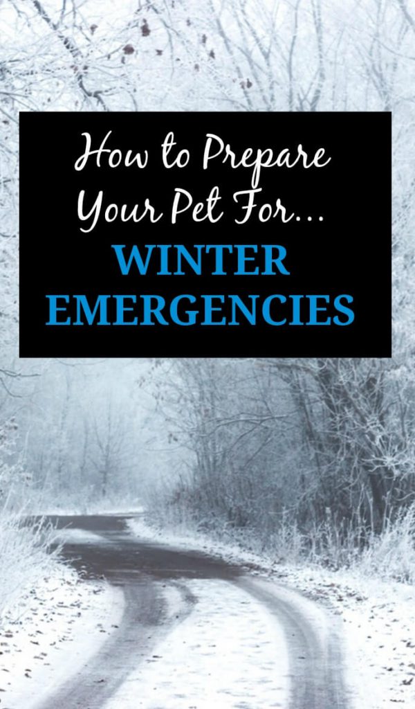 Prepare your pet for winter with these emergency preparation tips.